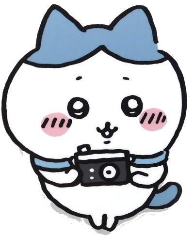 카메라를 든 하치와레
